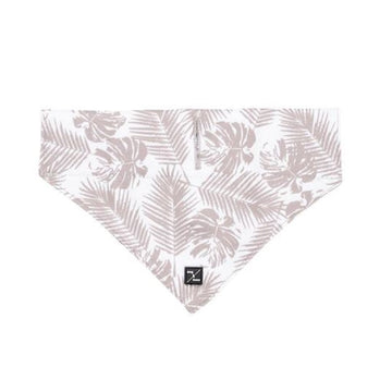 Petsleisure Pet Accessories